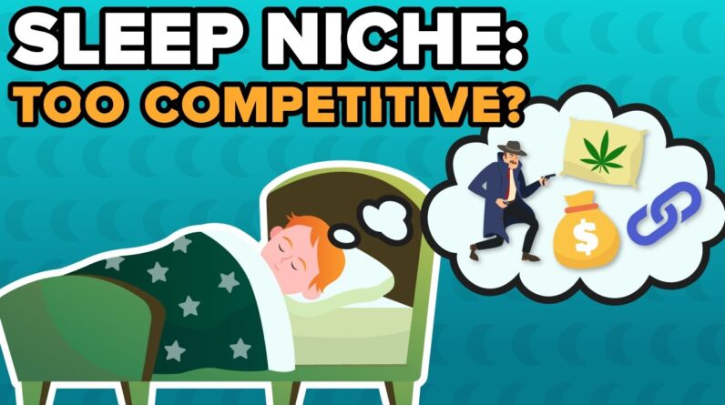 Sleep Niche Deep Dive: Dream Or Nightmare?