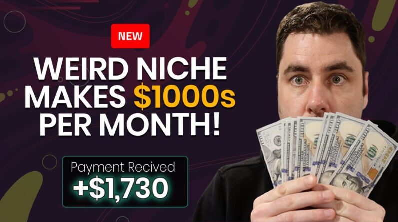 This Weird Niche Is Making $1000s Per Month Online & I Show You How! (Make Money Online)